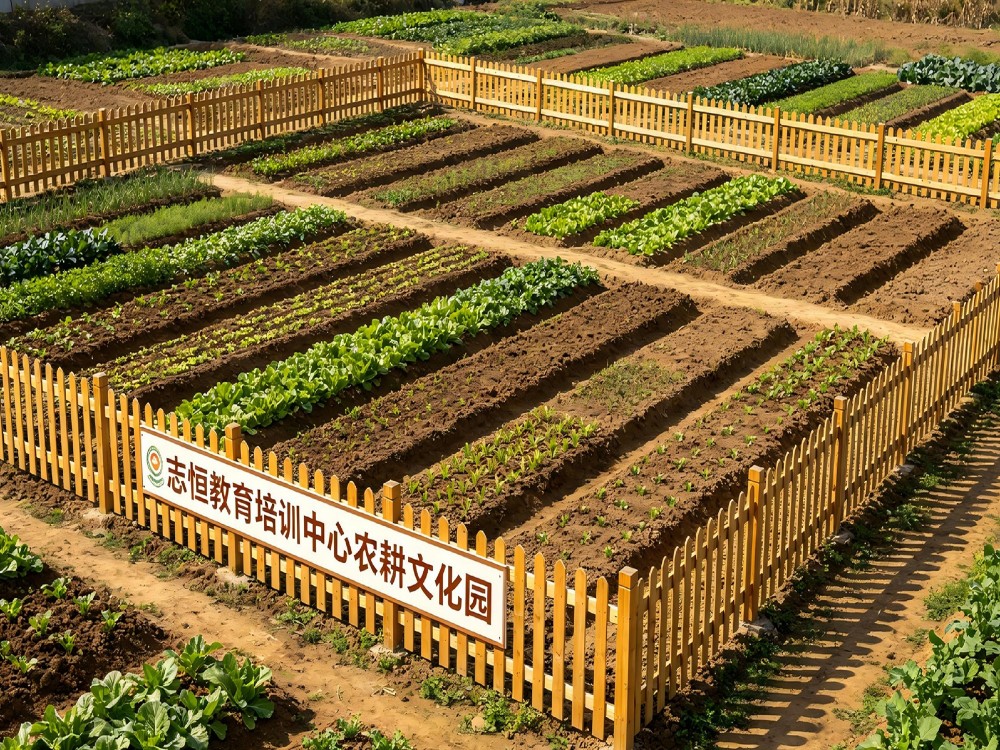萍乡叛逆少年全封闭教育学校怎么联系?寄宿培育机构选择指南